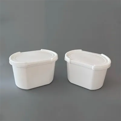 प्लास्टिक कंटेनर मोल्ड